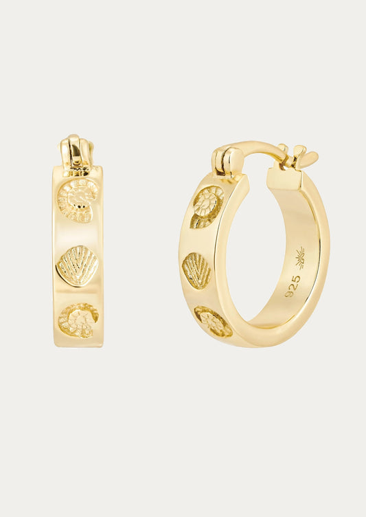 Gold hoop earrings with shell designs on a light gray background