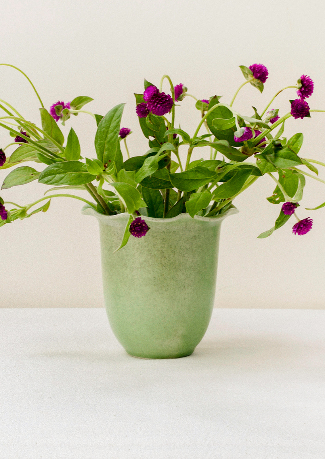 A green ceramic speckled vase with a rippled lip design filled with purple gomphrena flowers.