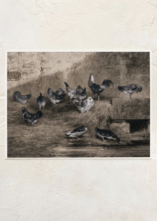 An art print in monotone sepia tone, depicting chickens in a barn.