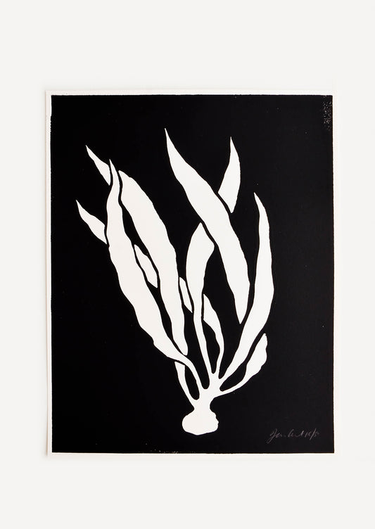 Hand printed artwork with black background and silhouetted white seaweed