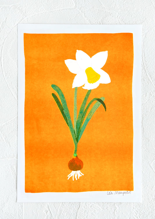 Risograph art print with neon coral background and daffodil flower