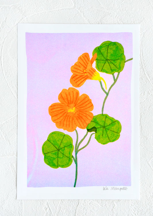 Risograph art print with neon coral background and nasturnium stem